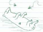 A very dead mole
