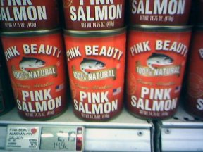 Pink Beauty